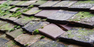 Eccleshall roof repair costs